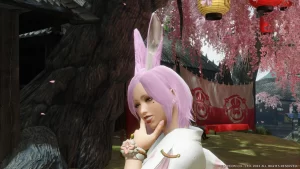 兔子耳朵-小小MOD吧