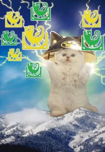 怪物猎人荒野mod-每种陷阱可以携带4个-小小MOD吧