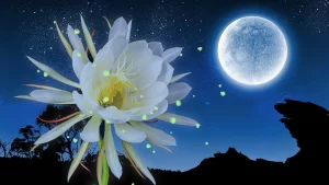 怪物猎人荒野mod-夜花MOD-小小MOD吧