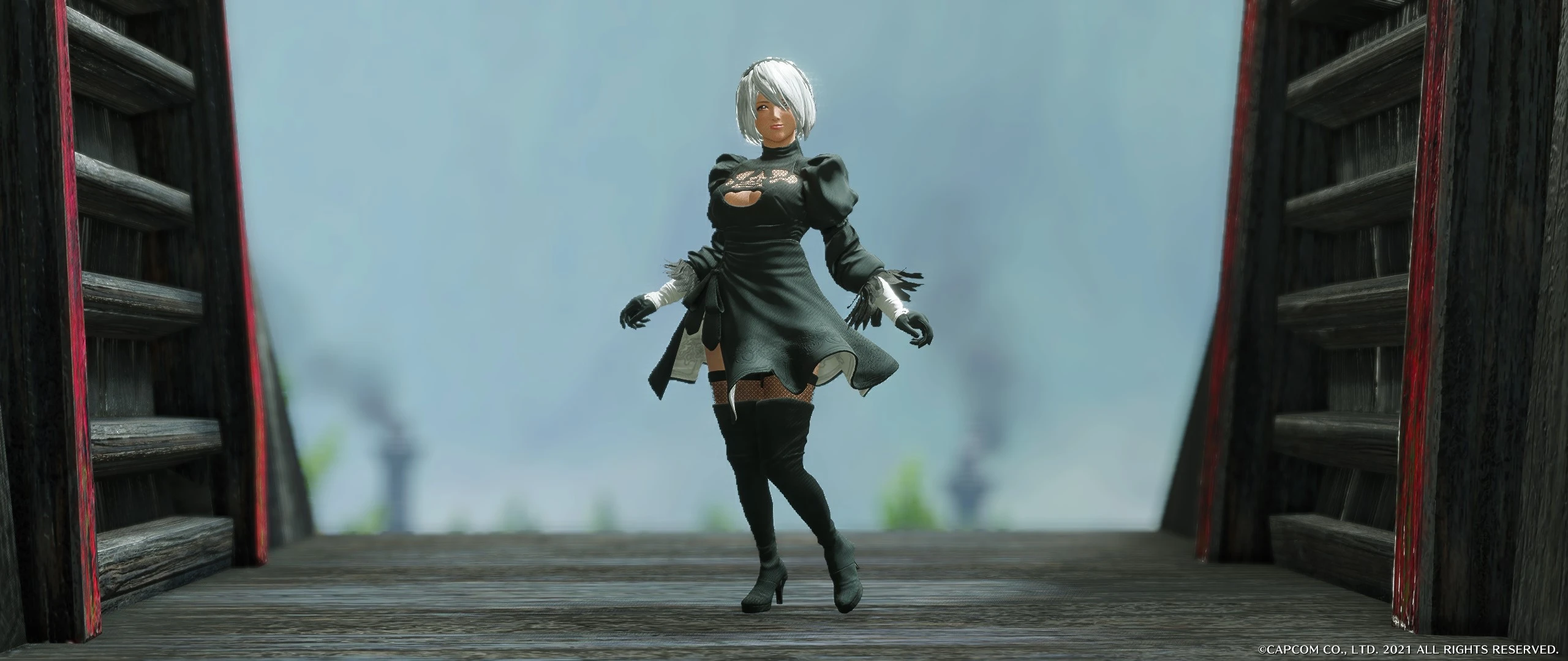尼尔自动机-2B 9S
